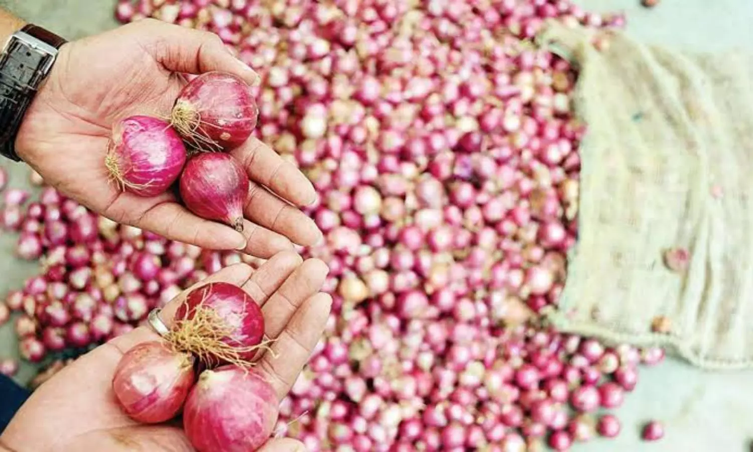 Onion Price Hike: కోయకుండానే కన్నీళ్లు పెట్టిస్తున్న ఉల్లి.. దిగుబడి ఉన్నా ధరలు ఎందుకు పెరుగుతున్నాయి?